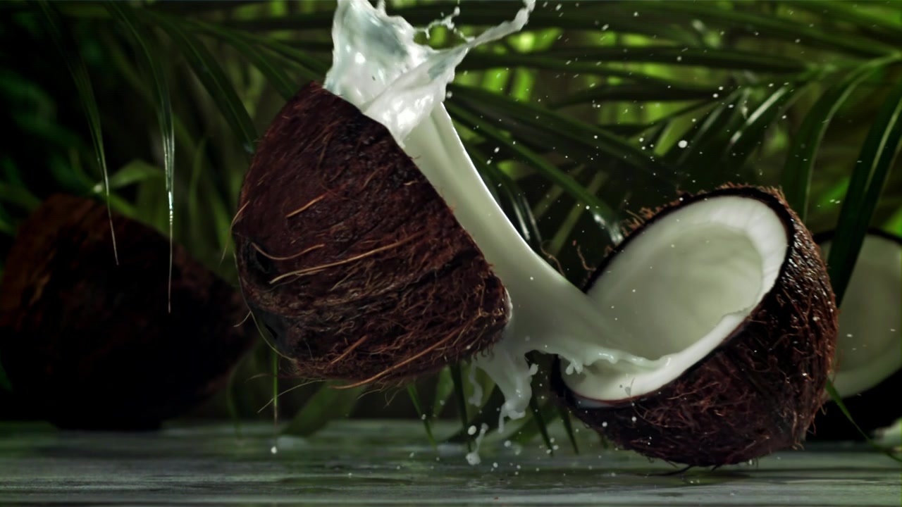 Tropical Coconut Splitting and Milk Splashing in Slow Motion