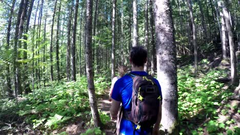 couple walking through the forest 4k