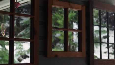 A heavy snowfall from inside the cozy home