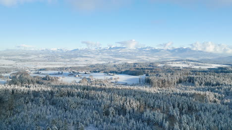 aerial view of snow-covered pine tree forest in jorat woods with swiss plateau and alps in the background in vaud, switzerland