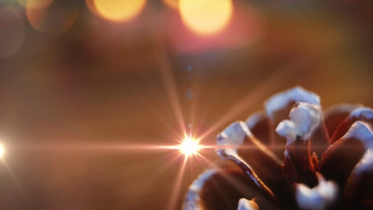 Animation of glowing lights moving over fir tree cone christmas decorations