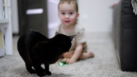 black beautiful cat sitting on the floor. happy baby touches the pet's tail and feline steps aside.