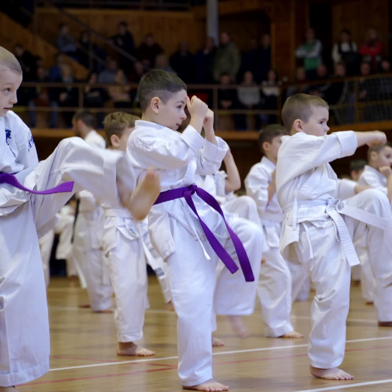 Practicing kicks at karate training in a big gym. Large group of kids in kimono make moves with legs standing in rows
