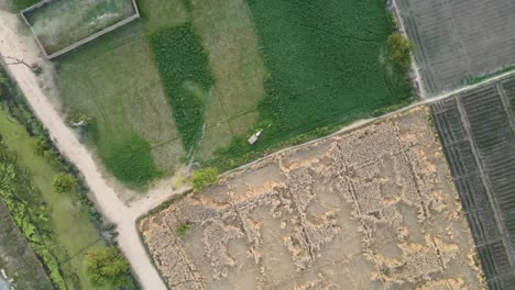 Vista-De-Drones-De-Campos-Agrícolas-Y-Imágenes-De-La-Vida-De-La-Aldea-De-Punjab,-India-Y-Pakistán