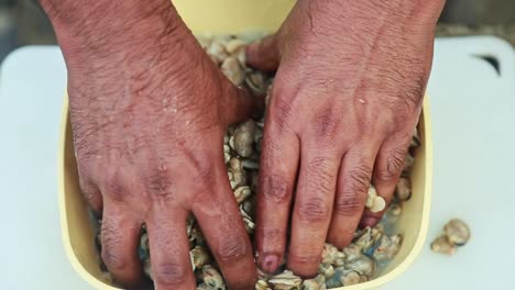 Muscheln-Werden-Zum-Kochen-Mit-Wasser-Gewaschen,-Das-Muschelfleisch-Wird-Gerieben-Und-Von-Hand-Gewaschen