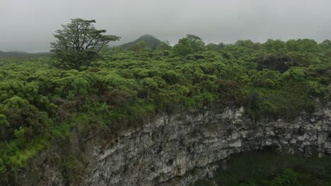 Aerial:-Flying-Over-An-Overgrown-Crater-In-The-Jungle-Galapagos-Island-Nature