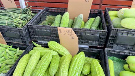 vibrant display of vegetables at local market