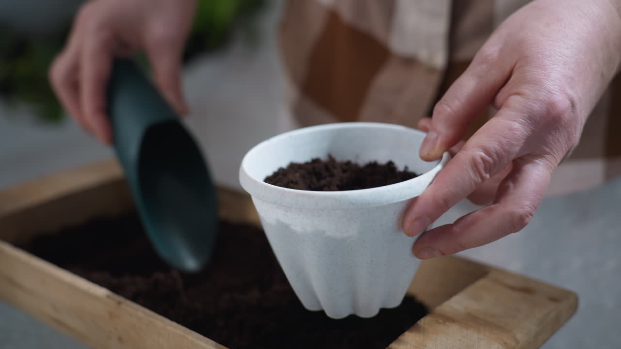 Close up plant mom hands carefully using blue scoop to pack dark moist soil into white planter above wooden container, focused gardening action under soft light with indoor backdrop