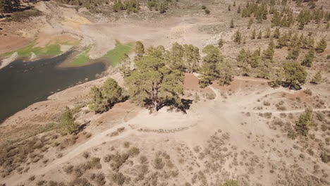fantastic aerial shot in orbit of the famous cassandra tree on a sunny day and located in the las niñas water dam in the municipality of tejeda, on the island of gran canaria