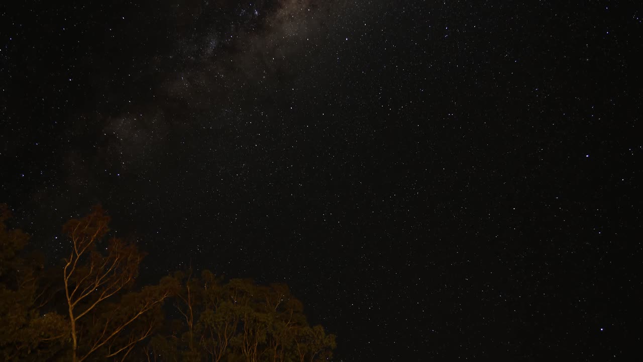 은하계 에 있는 별들과 나무들