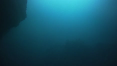 camera panning up from the sandy sea bottom to a the surface inside a hidden lagoon