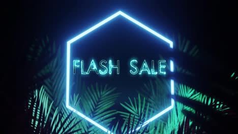 Animation-Von-Flash-Sale-Text-Und-Sechseck-In-Blauem-Neon,-Mit-Palmblättern-Auf-Schwarzem-Hintergrund