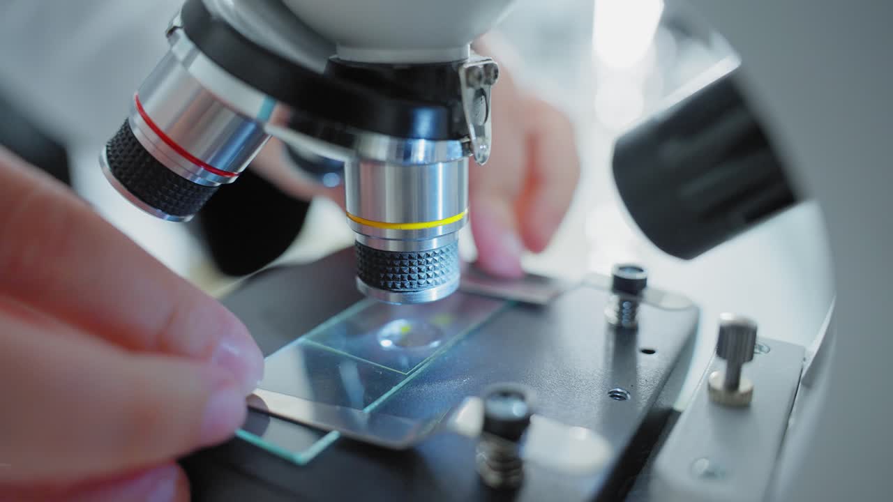 Microscope Observation