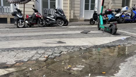 dos palomas en un charco de agua en
