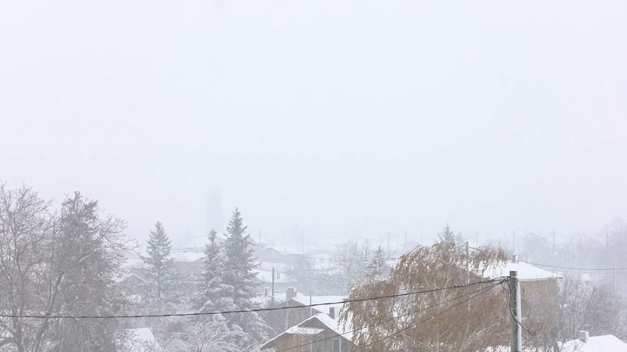 집과 나무에 폭설