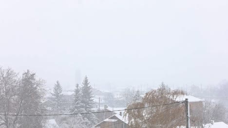 heavy snowfall on houses and trees