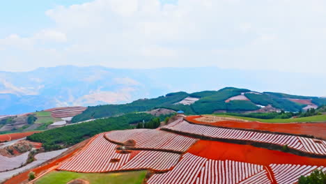 Hermosa-Y-Natural-Vista-Panorámica-De-Grandes-Tierras-Agrícolas-Con-Campos-De-Maíz,-Arroz,-Trigo-Y-Girasol-Y-Montañas-Rojas