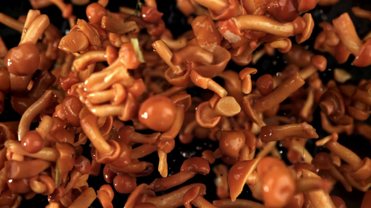 Funghi champignon freschi che cadono al rallentatore