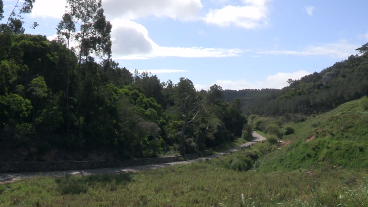 camino estrecho entre las colinas de la serra de sintra, muchos árboles y un cielo azul con nubes