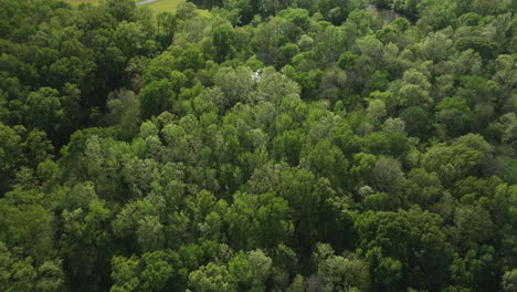 El-Denso-Dosel-Verde-De-Los-Bosques-Del-Río-Wolf-En-Collierville,-Tennessee,-La-Luz-Del-Sol-Salpicando-A-Través-De-Los-árboles,-Vista-Aérea,-Vista-Aérea