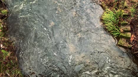 narrow river flows in river bed from above