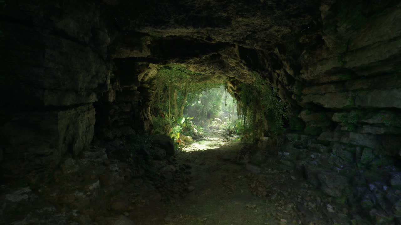 Light filtering through a cave entrance in a lush forest environment