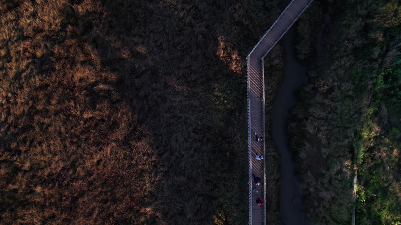 vista de drones del sendero para caminar rodeado por el paseo de la puesta de sol de la naturaleza