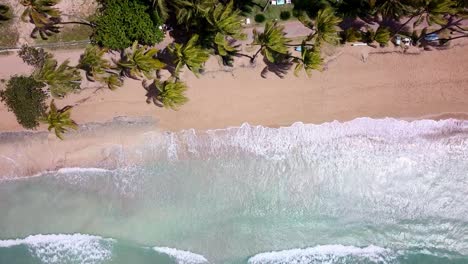 tropical beach and waves filmed in birdseye view