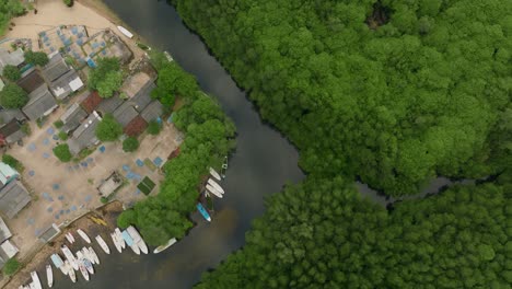 Human-impact-contrast-on-mangrove-forest-with-small-village-surrounded-by-lush-green,-top-down