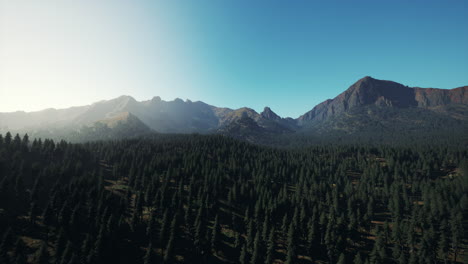 Aerial-view-over-Mountain-range-with-pine-forest-in-Bavaria