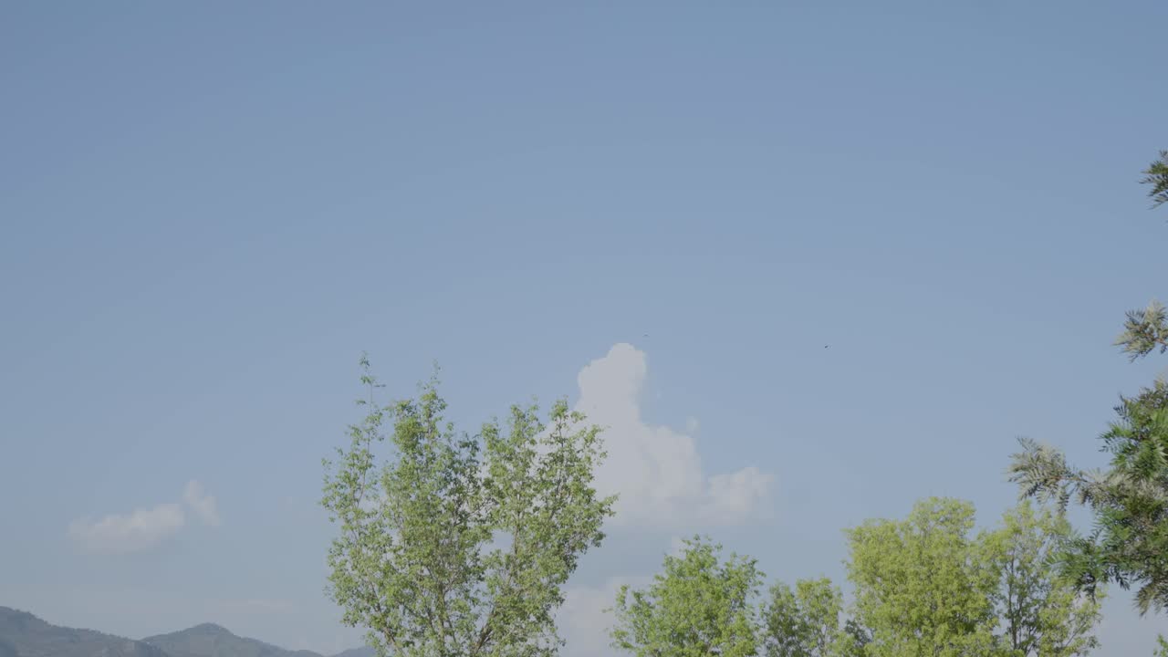 A view of Margala Hills from Islamabad behind the trees and clouds above