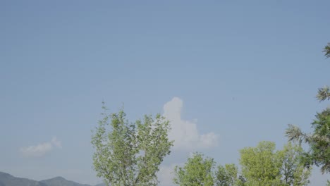 a view of margala hills from islamabad behind the trees and clouds above