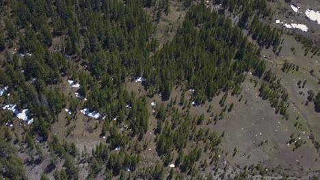 Vogelperspektive-Auf-Immergrüne-Bäume-In-Der-Nähe-Des-Yosemite-Nationalparks