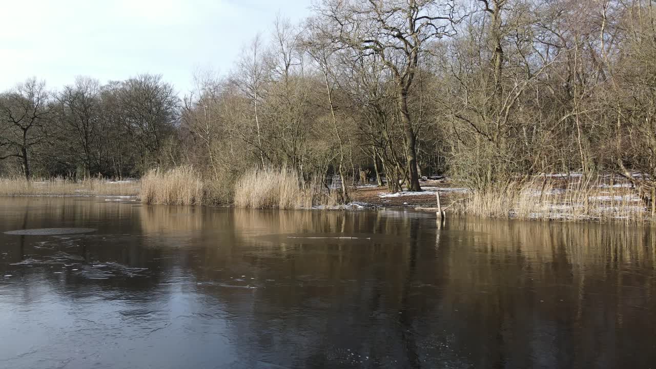 Frossen sø i skov, lavvinklet drone tilbagetrækning.