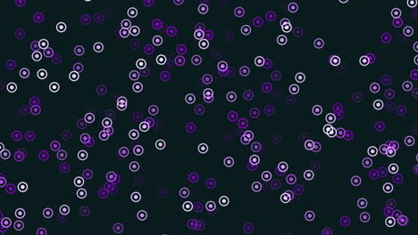 circular purple and white pattern on black background
