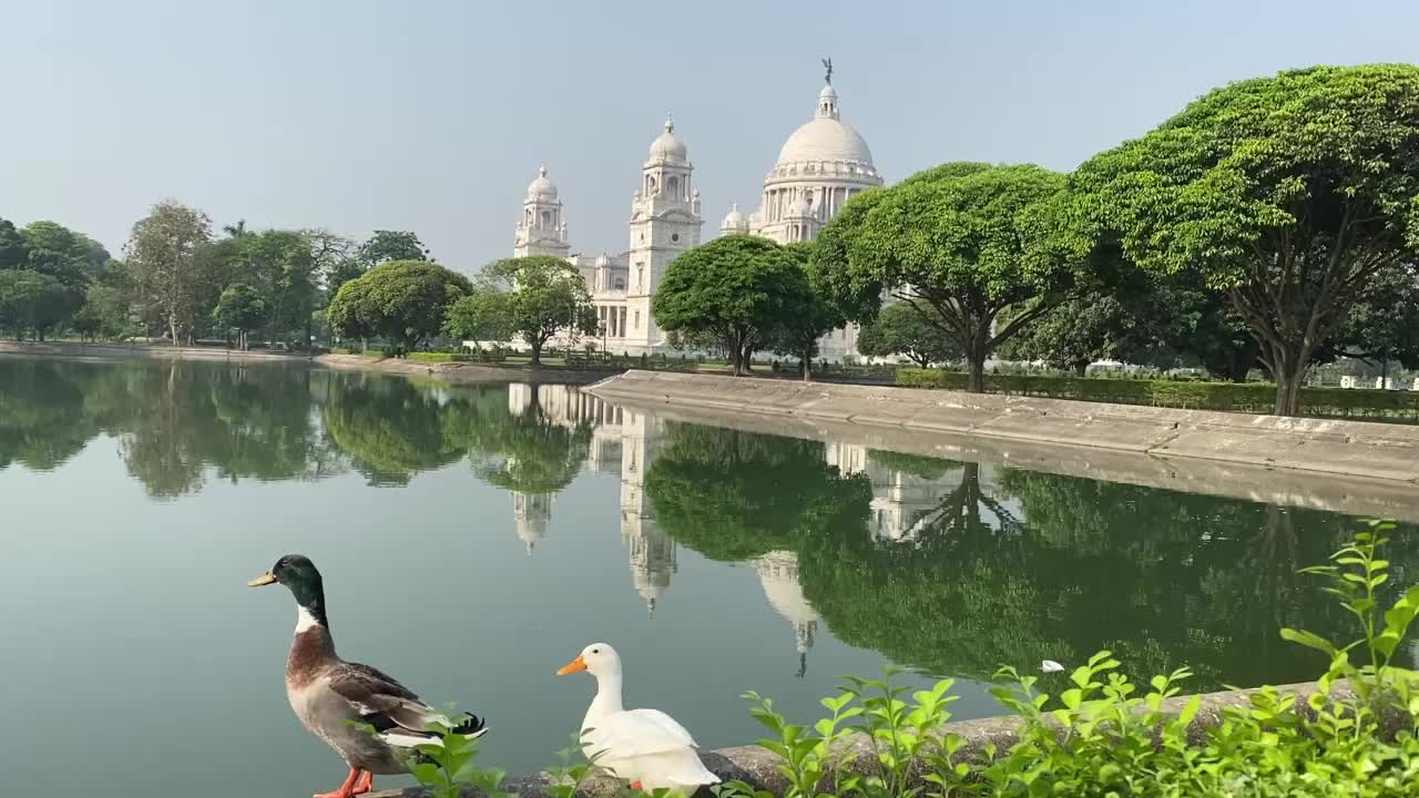 빅토리아 메모리얼 콜카타 해가 뜨면 호수 앞에 서 있는 두 마리의 오리