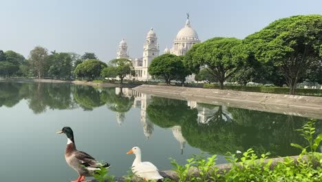 Victoria-Memorial-Kalkutta-Bei-Sonnenaufgang-Mit-Zwei-Enten,-Die-Vor-Dem-See-Stehen
