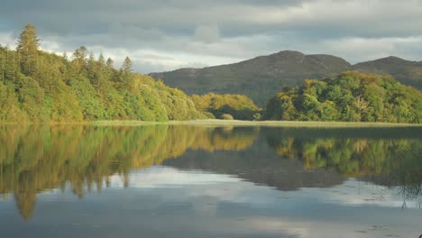 Beautiful-idyllic-serene-lake-forest-mountain-view