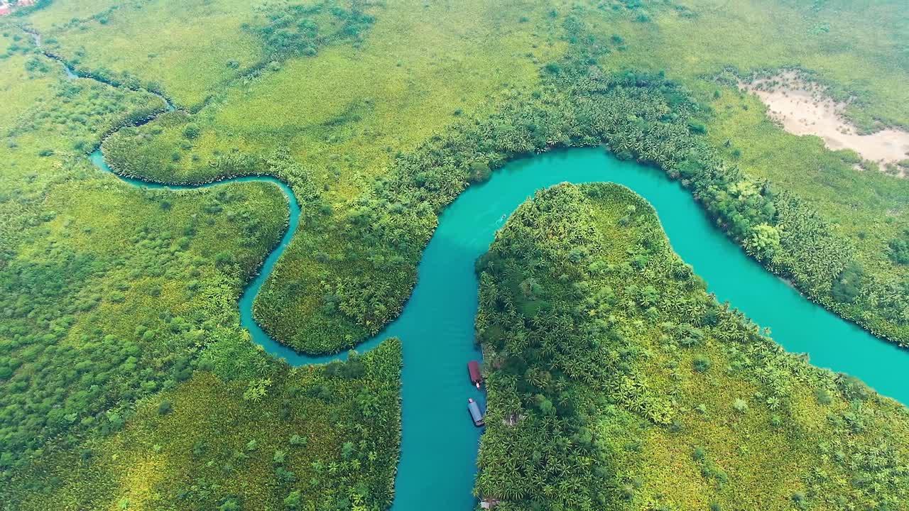 drone aerial birds eye pulling back revealing view of a large green grass earthy forest with tall trees and a big blue bendy large river flowing through the forest in bohol Island in the Philippines