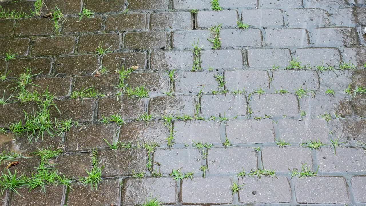 Rain on a stone pathway with grass, creating a calm and serene mood