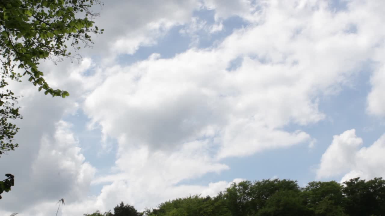 Timlapse from the sky with trees