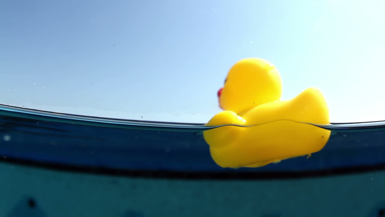 patito de plastico 00