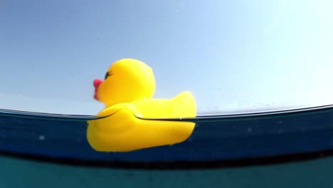 plastic duckie 00