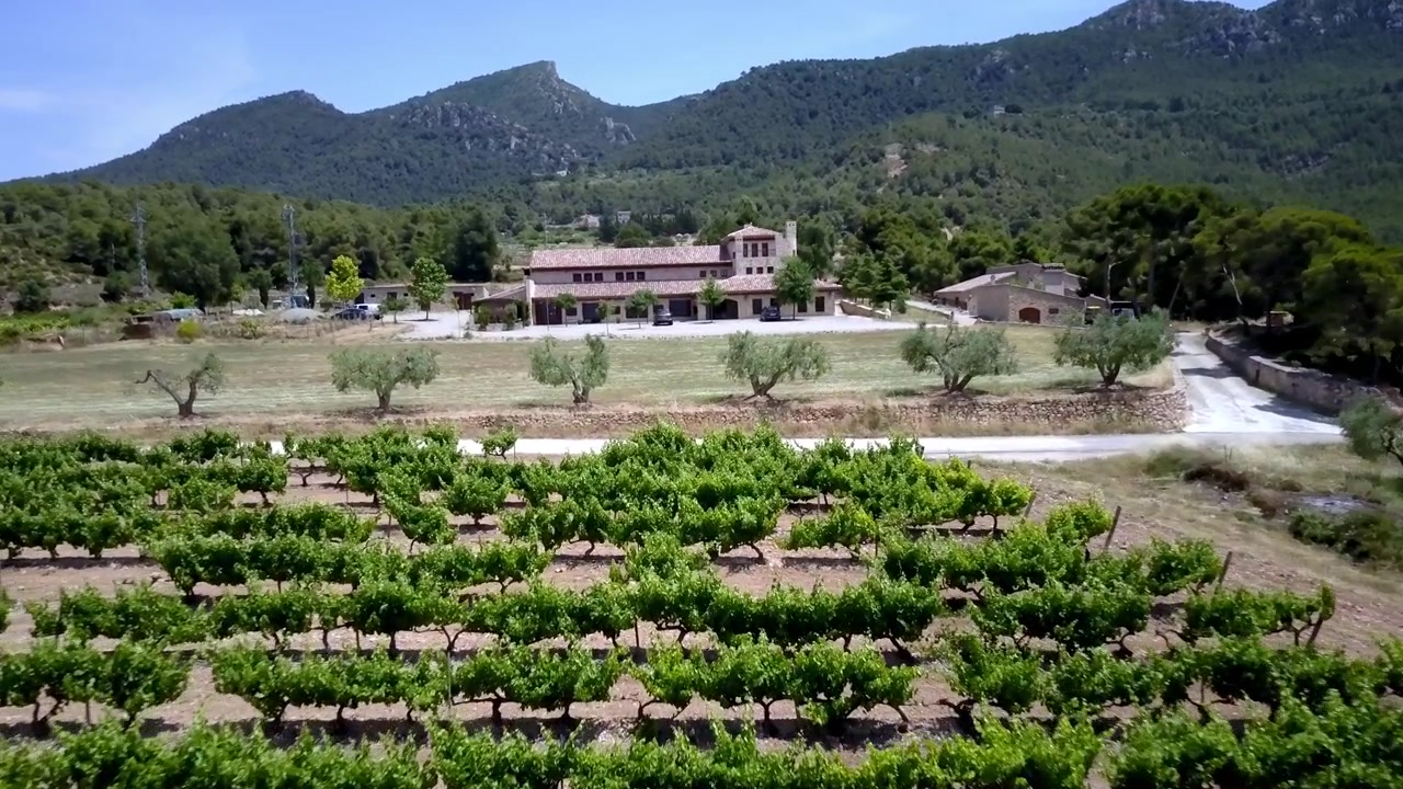 Un vigneto pittoresco con filari di viti verdi, un casale rustico a Barcellona e uno sfondo di colline lussureggianti e ondulate sotto un cielo azzurro e limpido. La scena cattura la bellezza serena e rurale della campagna.