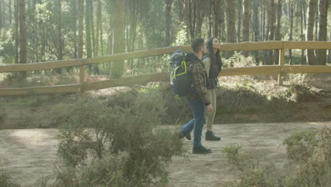 feliz pareja romántica caminando por la ruta turística en el bosque