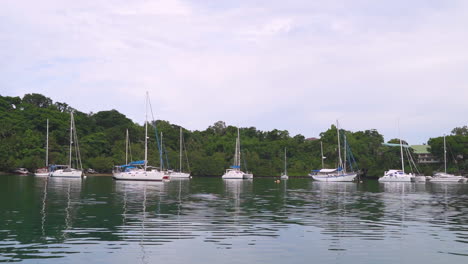 stabilized shot of parked yachts on a private island in the philippines