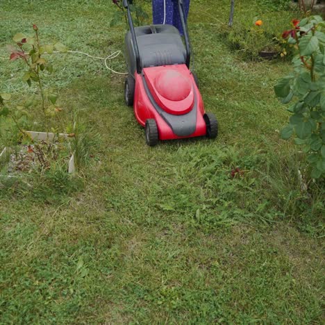 barefoot young girl uses lawn mower to mow a lawn in garden. close up of mowing the lawn