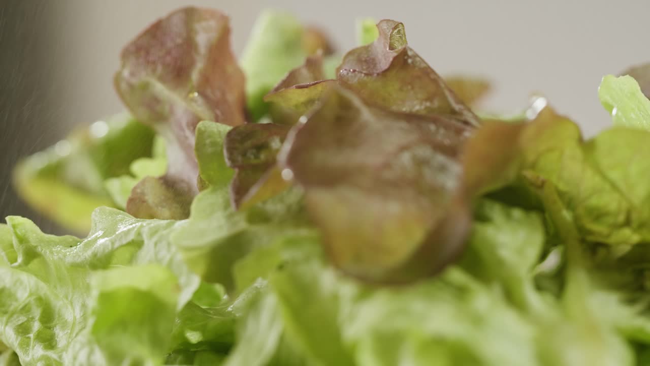 Fresh salad green lettuce leaves on white background close up macro, vegan food.