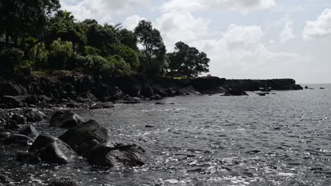 Lush-volcanic-shoreline-underneath-a-bright-blue-sky-with-soft-cumulus-clouds-at-Auckland's-north-shore