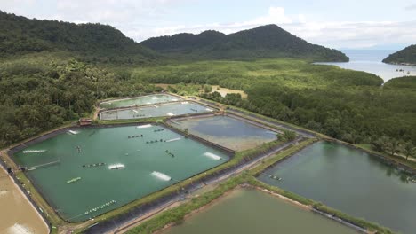 Aerial-drone-left-spin-rotation-panning-shot-of-industrial-shrimp-farm-on-the-edge-of-a-national-park-on-Koh-Chang-Thailand